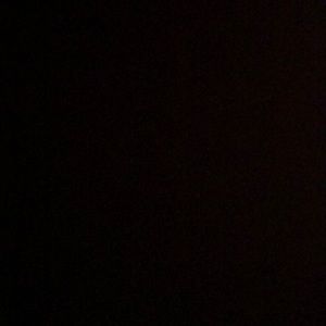 Meet your Posher, Jackson